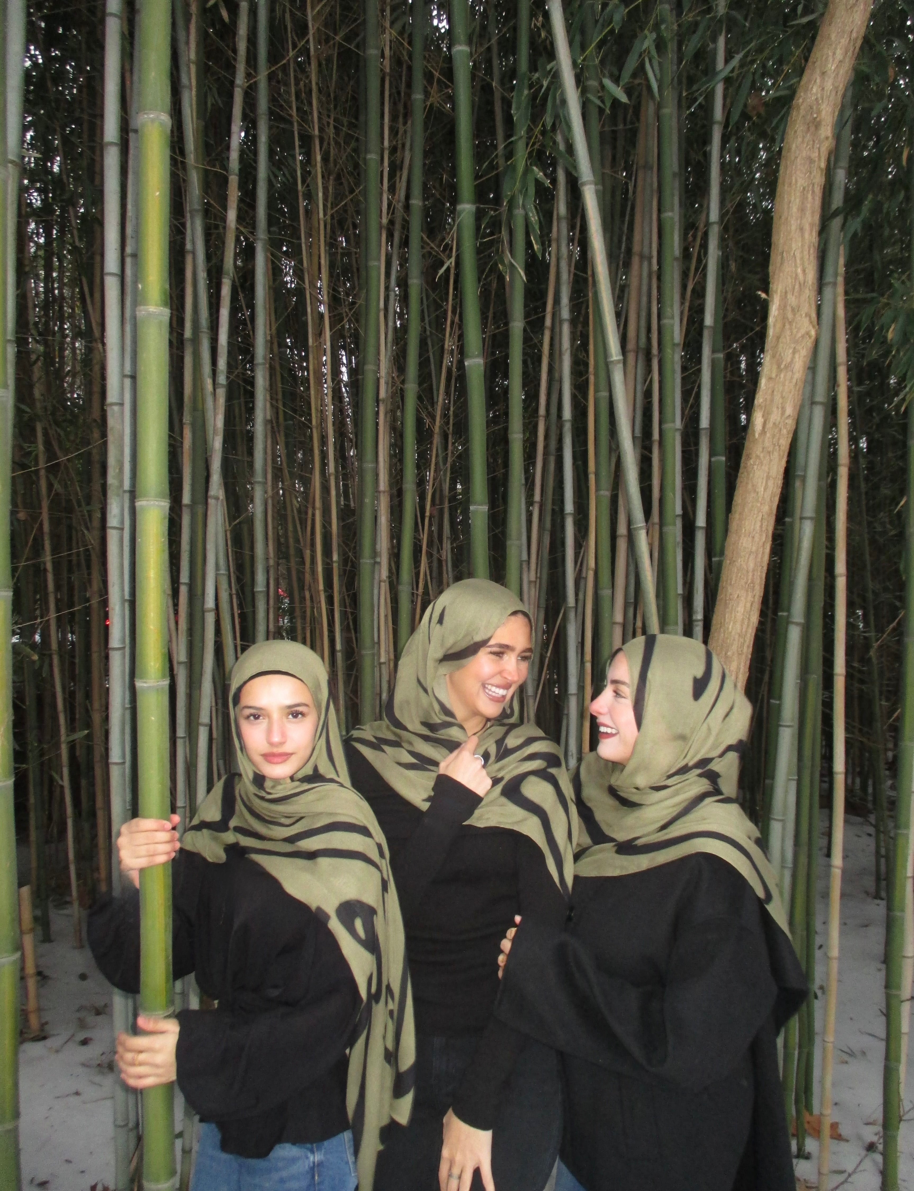 Qalam Olive
