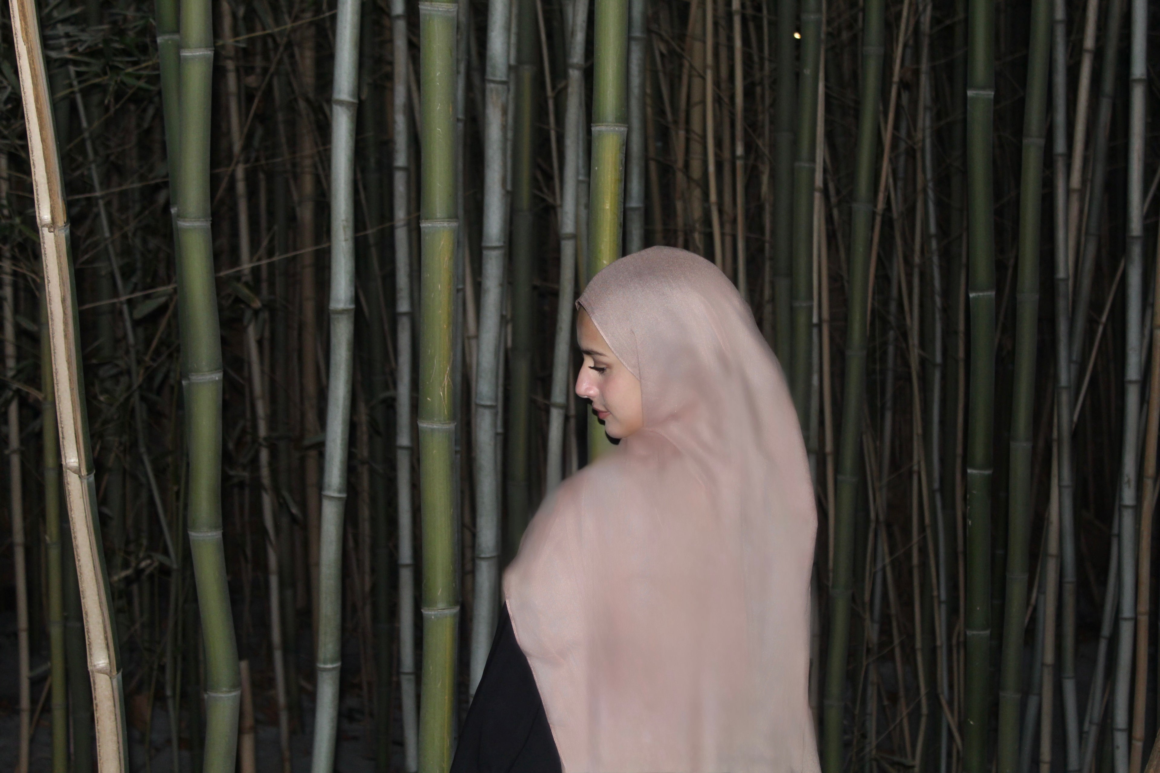 Rose Dust